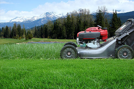 A lawn mower in a garden