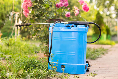 A pesticide knapsack in a garden