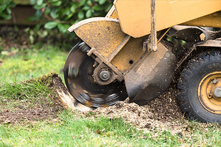 A stumpgrinder in a garden 